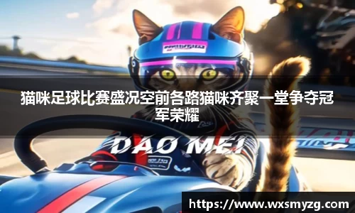猫咪足球比赛盛况空前各路猫咪齐聚一堂争夺冠军荣耀