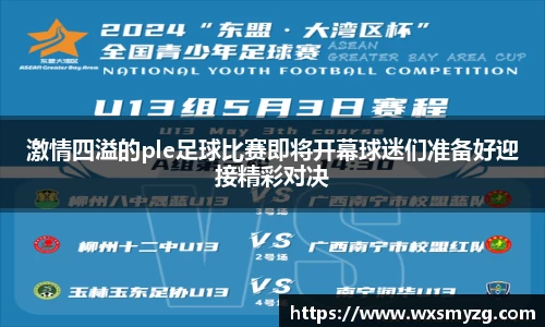 激情四溢的ple足球比赛即将开幕球迷们准备好迎接精彩对决