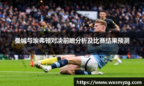 曼城与埃弗顿对决前瞻分析及比赛结果预测